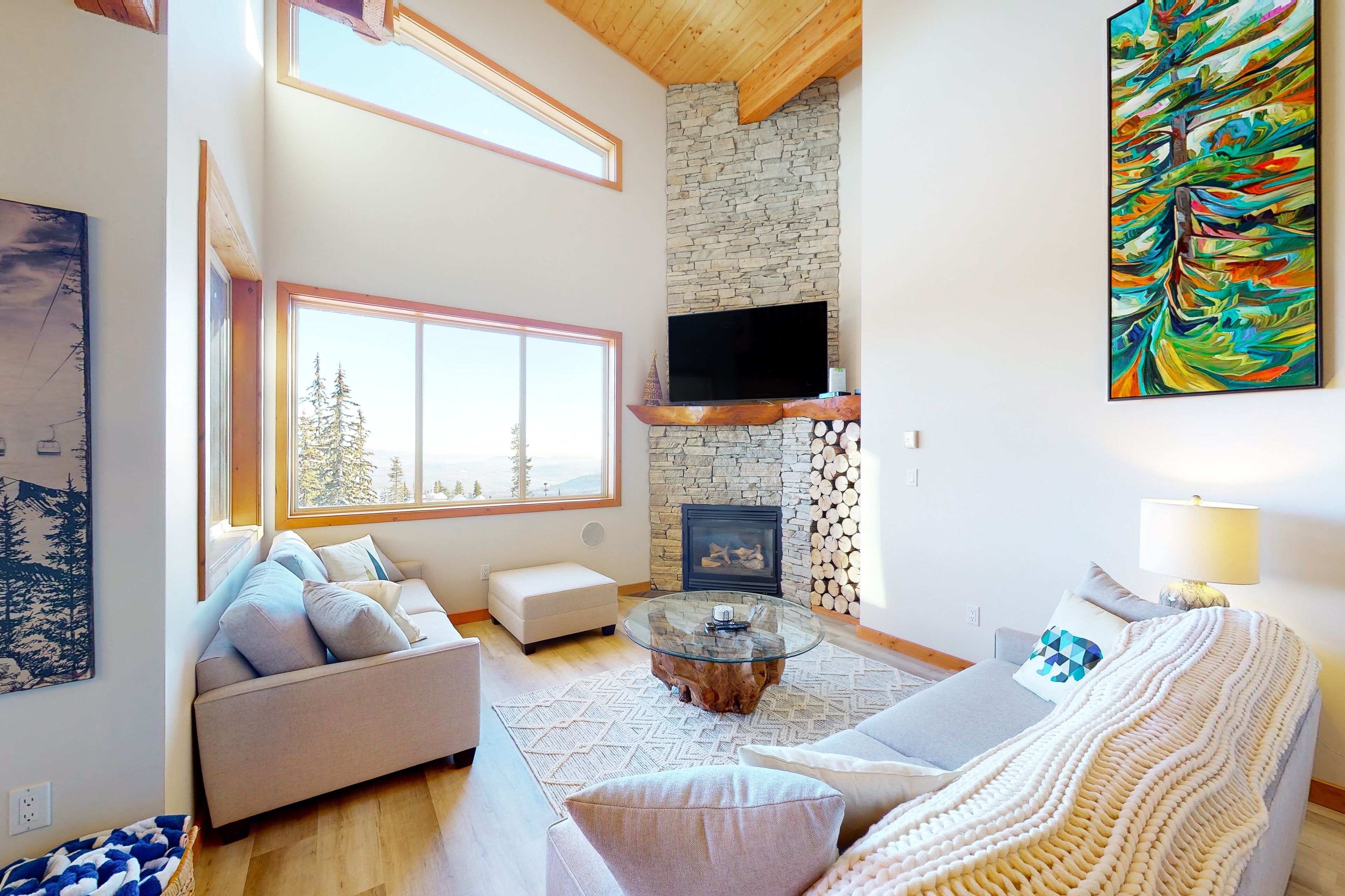 テレビ、暖炉、テレビゲーム