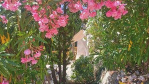 Un jardín con flores rosadas y follaje verde, un banco de piedra y un edificio al fondo.