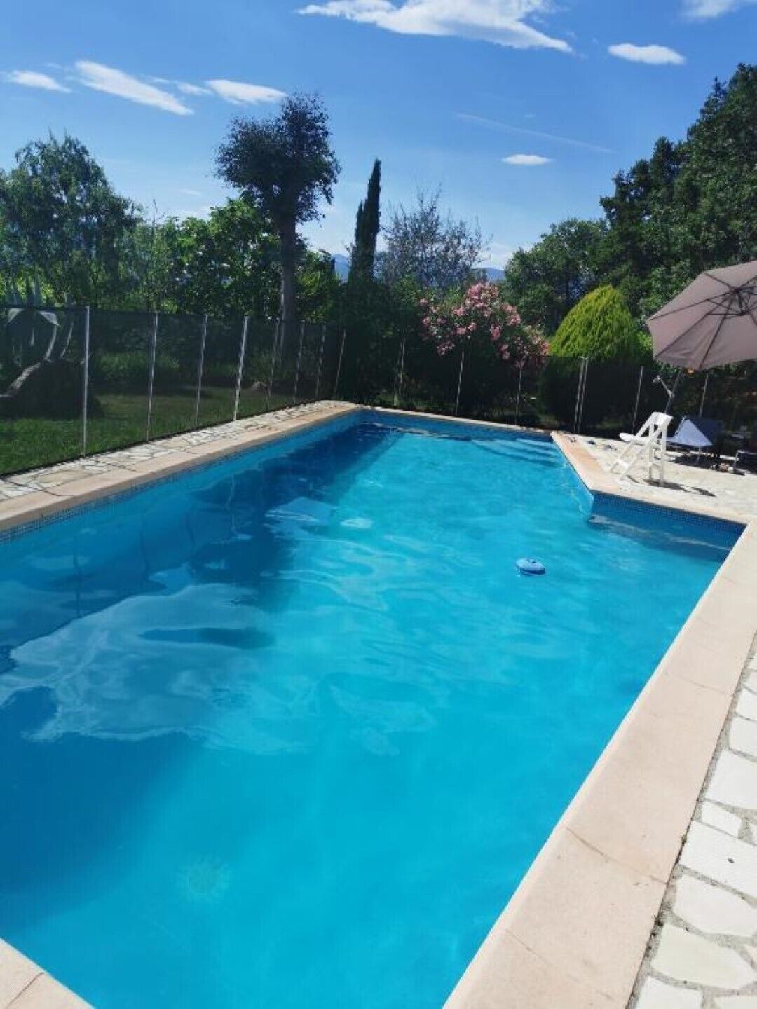 Ein rechteckiger Schwimmteich mit klarem, blauem Wasser, umgeben von einer Steindeck und einem Metallzaun.