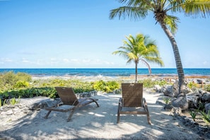 Two wicker lounge chairs facing a beach with a palm tree and ocean view.