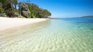 A beach with clear shallow waters, sandy shore, and dense trees in the background. - The Pinnacle - Breath taking Vistas and Heated Spa on Viewing Balcony (Salamander Bay)