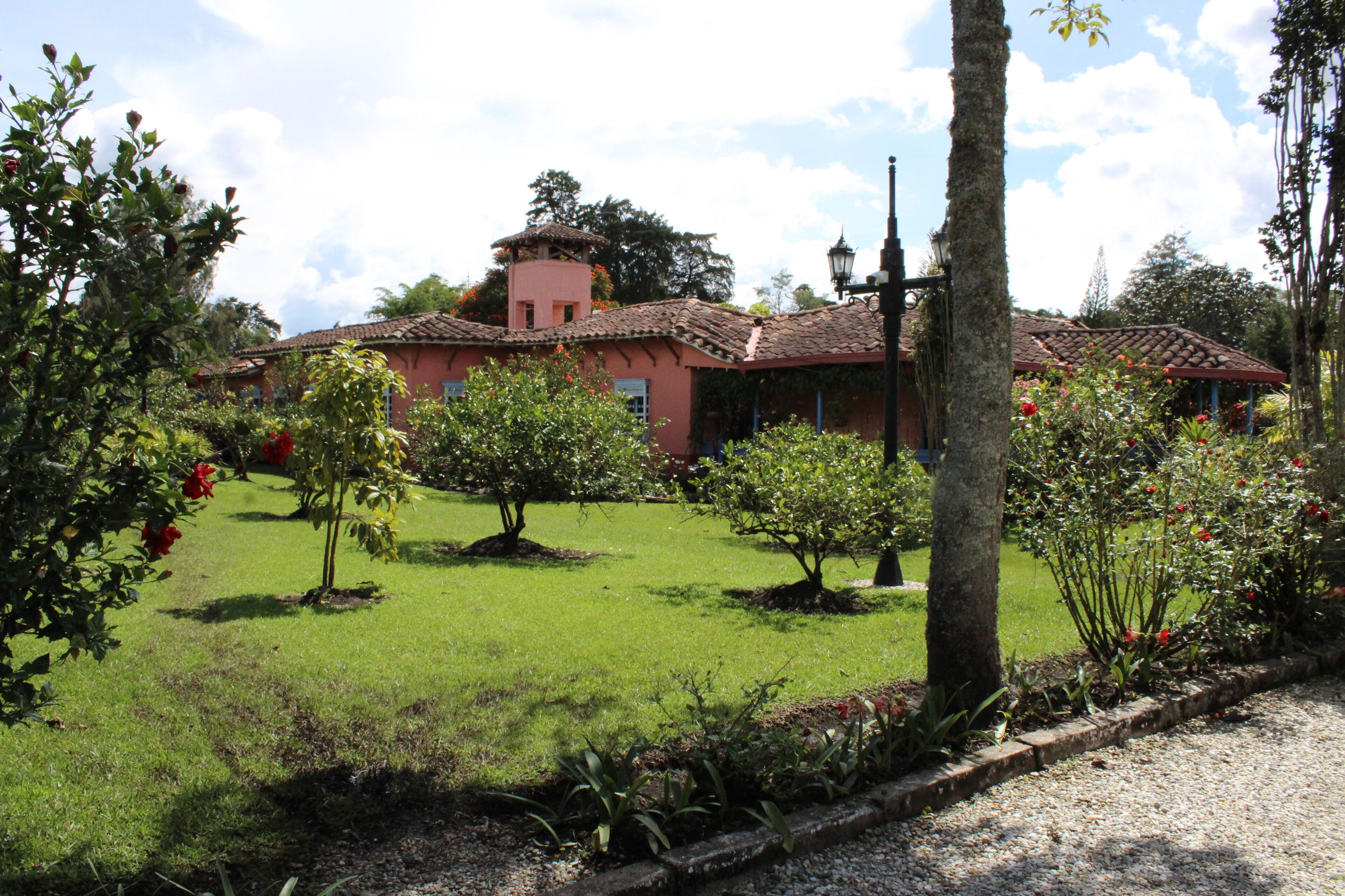 outdoor wedding area