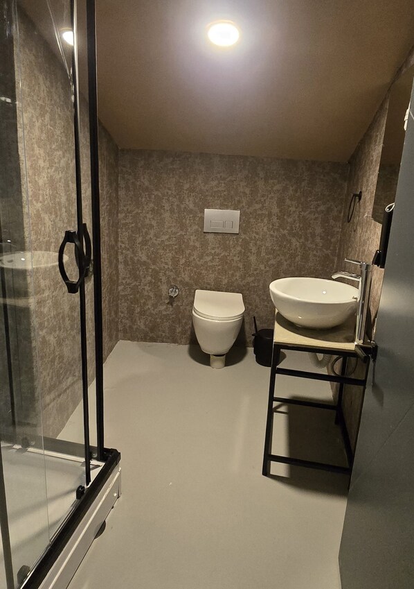 A bathroom with a glass shower enclosure, a toilet, and a sink on a vanity.