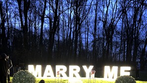 Una alfombra roja que conduce a un letrero que dice 'MARRY ME', rodeado de velas y follaje.
