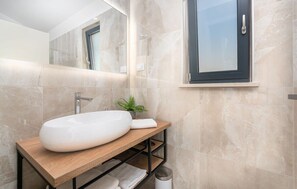 Une salle de bain moderne avec un grand lavabo ovale, un meuble-lavabo en bois, une petite plante et une fenêtre à cadre foncé.