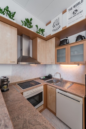 Apartment | Eigene Küche | Großer Kühlschrank, Mikrowelle, Ofen, Herdplatte