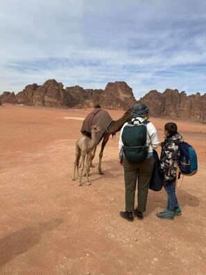 Exterior - Moon light Camp (Wadi Rum)