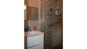 Een badkamer met een douche, wastafel en spiegel.