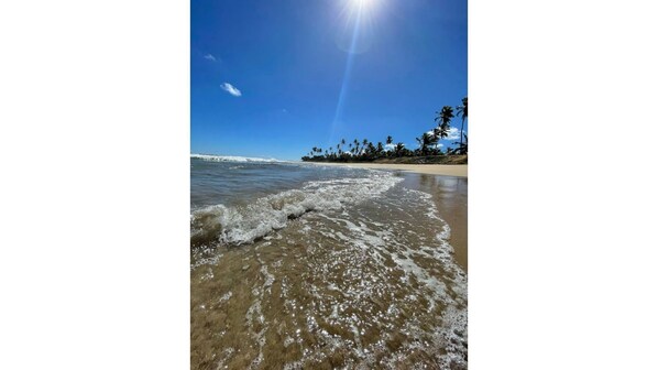 Unclassified image, 1 of 86, button