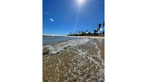 Enjoy the sea and rest in a beautiful villa with a private beach 