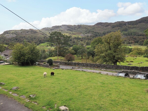 Cottage | Property grounds