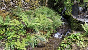 A stone wall covered in moss, a small waterfall, and lush greenery. - Underheron (Ambleside)