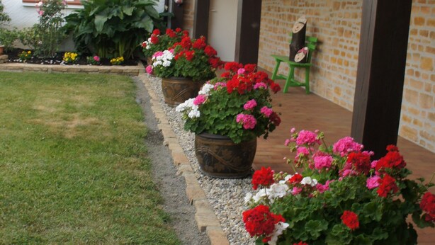 A courtyard with a stone pathway, potted plants with red and white flowers, and a building with a tiled roof and brick walls. - Chez Bernadou (Machecoul-Saint-Même)