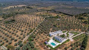 An aerial view of a property with a large house surrounded by olive groves, a swimming pool, and a well-maintained lawn. - 2283 Villa La Paiara by Perle di Puglia (Melendugno)