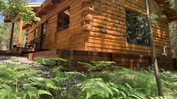 A log cabin with a porch, large windows, and a natural surrounding.