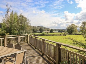 Property grounds - How Beck (Ambleside)