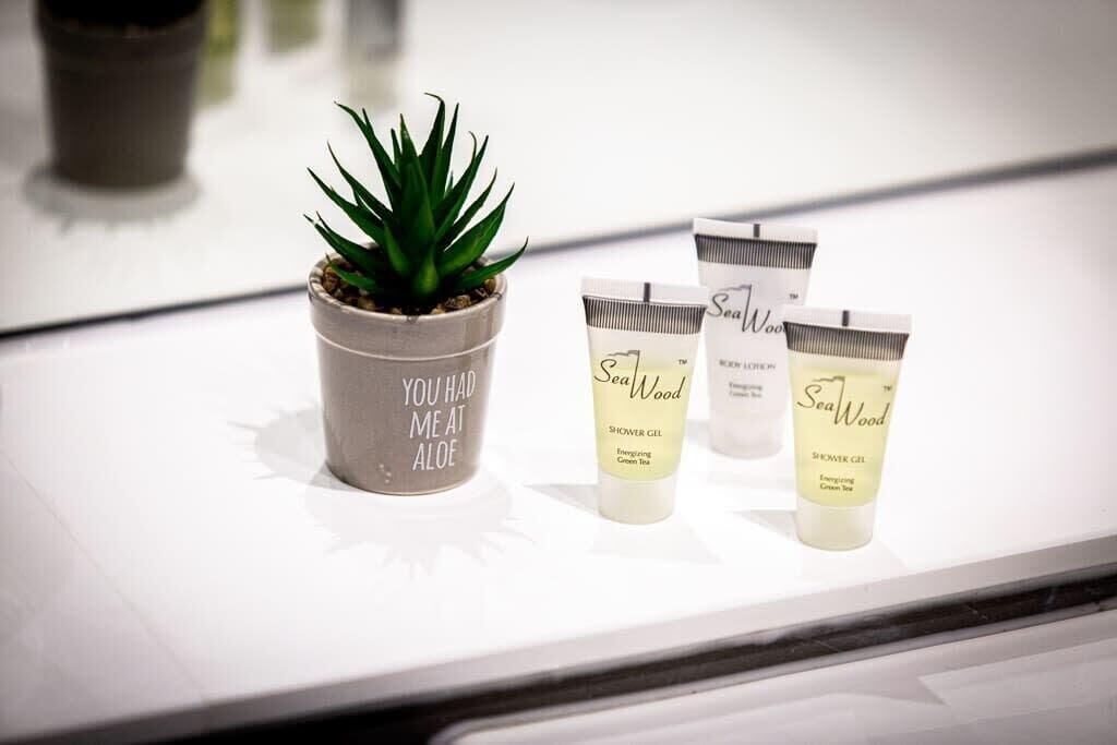 Una planta de aloe en maceta y tres tubos de gel de ducha SeaWood sobre una superficie blanca.