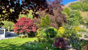 A garden with various trees, a lawn, and a small building. - Ben House (Ambleside)
