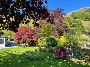 المنطقة المحيطة بالمنشأة