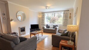 A modern living room with a fireplace, a television, and a sofa set. - Silver Birches (Windermere)