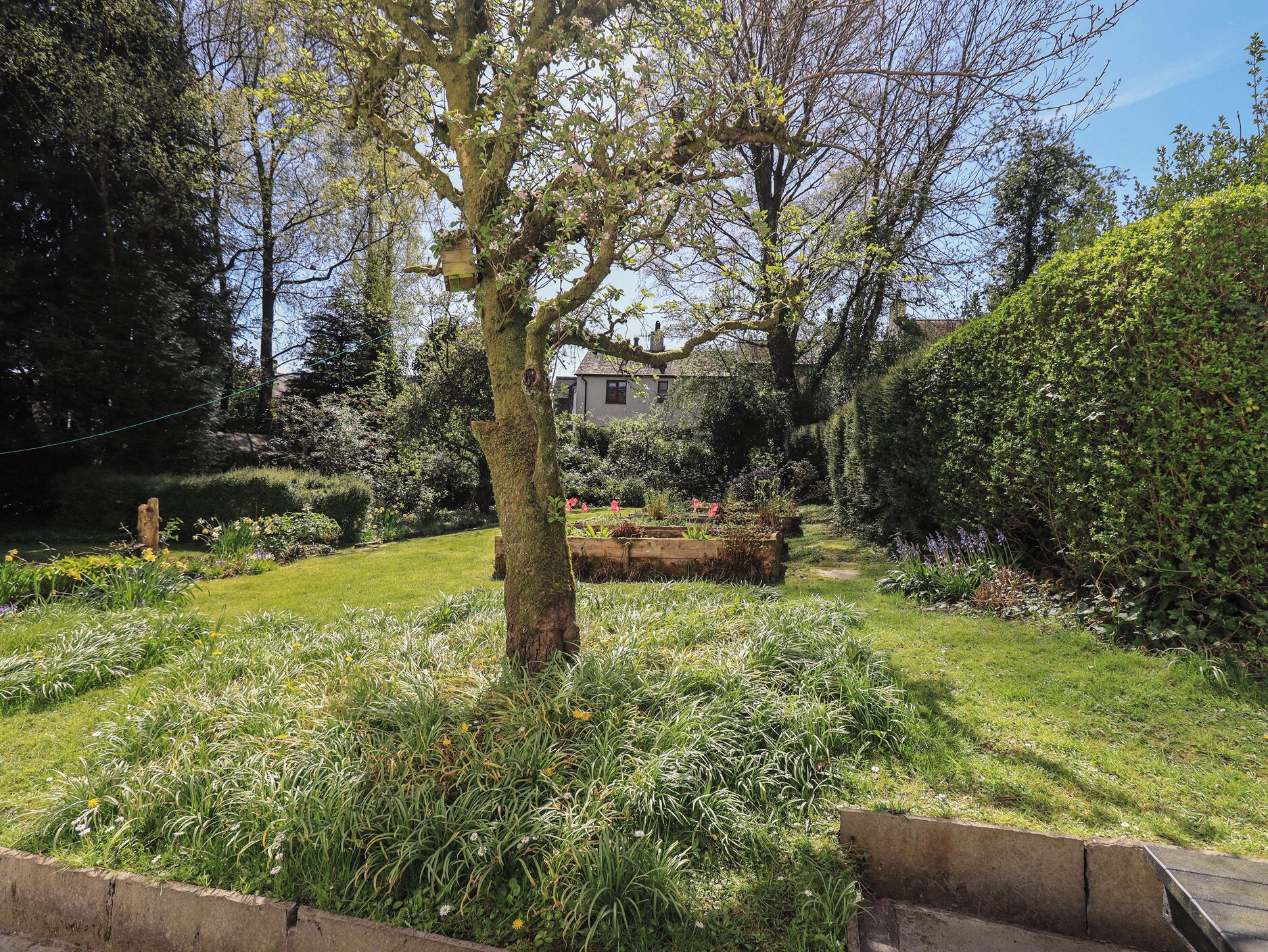 Cottage | Property grounds