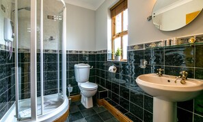 A bathroom with a glass-enclosed shower, a toilet, and a sink with a mirror above it.