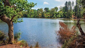 Un paisaje natural con un lago rodeado de árboles y vegetación.