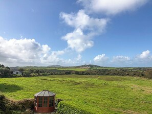 Property grounds - 1 bedroom accommodation in St David&rsquo;s (St David&rsquo;s)