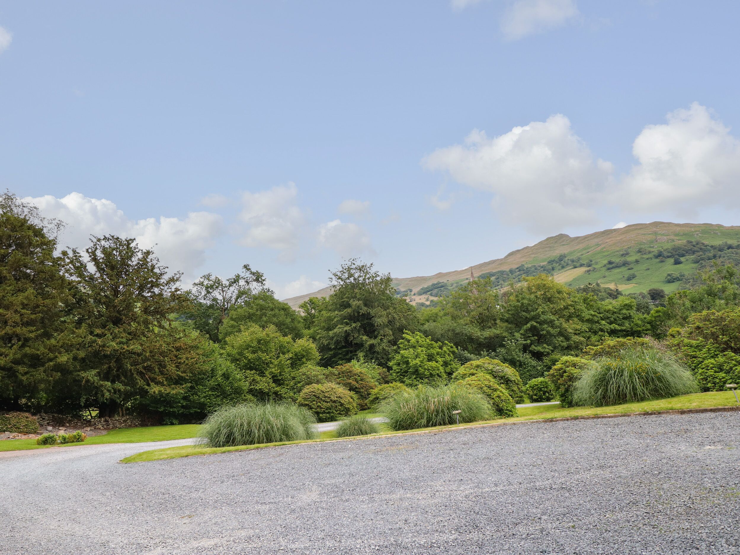 A gravel driveway leading to a lush green landscape with dense trees and a hill in the background.