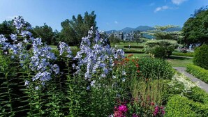 Un jardin avec différentes plantes et fleurs, un sentier et une vue sur un bâtiment en arrière-plan.