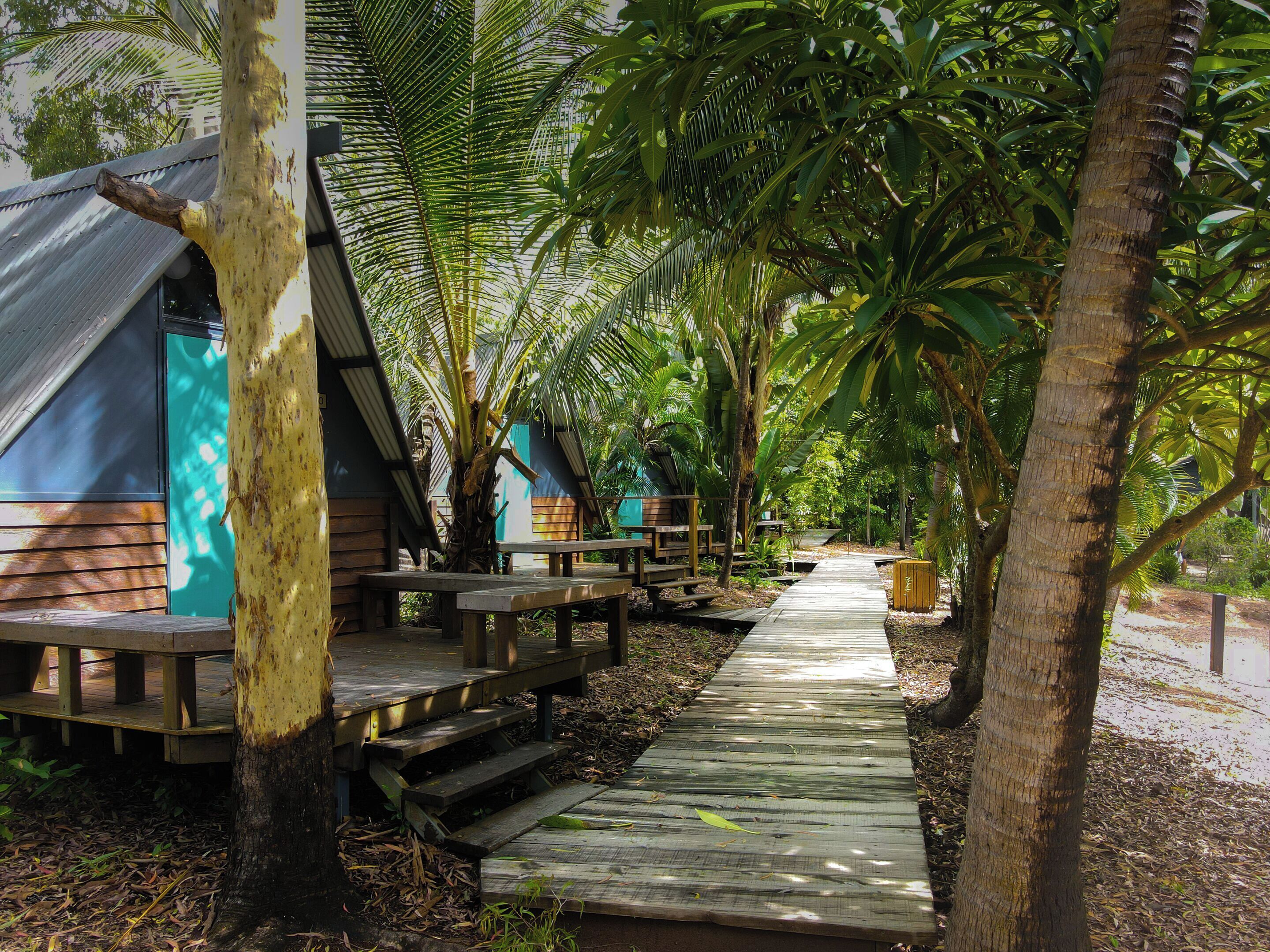 A wooden pathway leading to a row of wooden cabins with sloped roofs, surrounded by lush tropical vegetation.