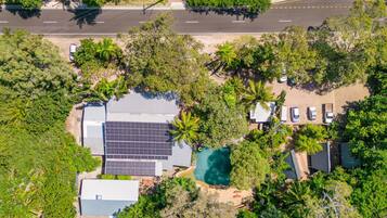 Enjoy a serene backyard with a swimming pool surrounded by lush greenery and palm trees.