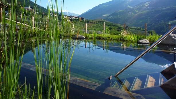 Une piscine extérieure paisible, à l’eau claire, entourée d’une végétation luxuriante et avec des montagnes en toile de fond.