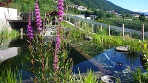 Un jardin paisible avec un étang, entouré d’une végétation luxuriante et dominé par une chaîne de montagnes en arrière-plan.