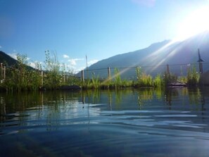 A calm lake with reflections of surrounding vegetation and a mountain in the background. - Mini apartment - for 2 pers. - large balcony (Trentino-Alto Adige)