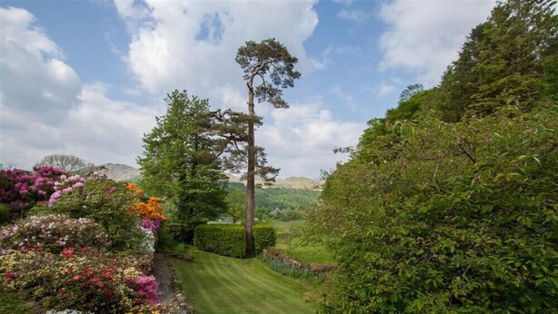 A well-maintained garden with a variety of flowering plants and a neatly trimmed lawn. - The Old Farm (Ambleside)