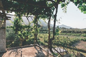 Property grounds - Accessible Vacation Home "The Mills House" with Private Terrace & Wi-Fi (Zakynthos)