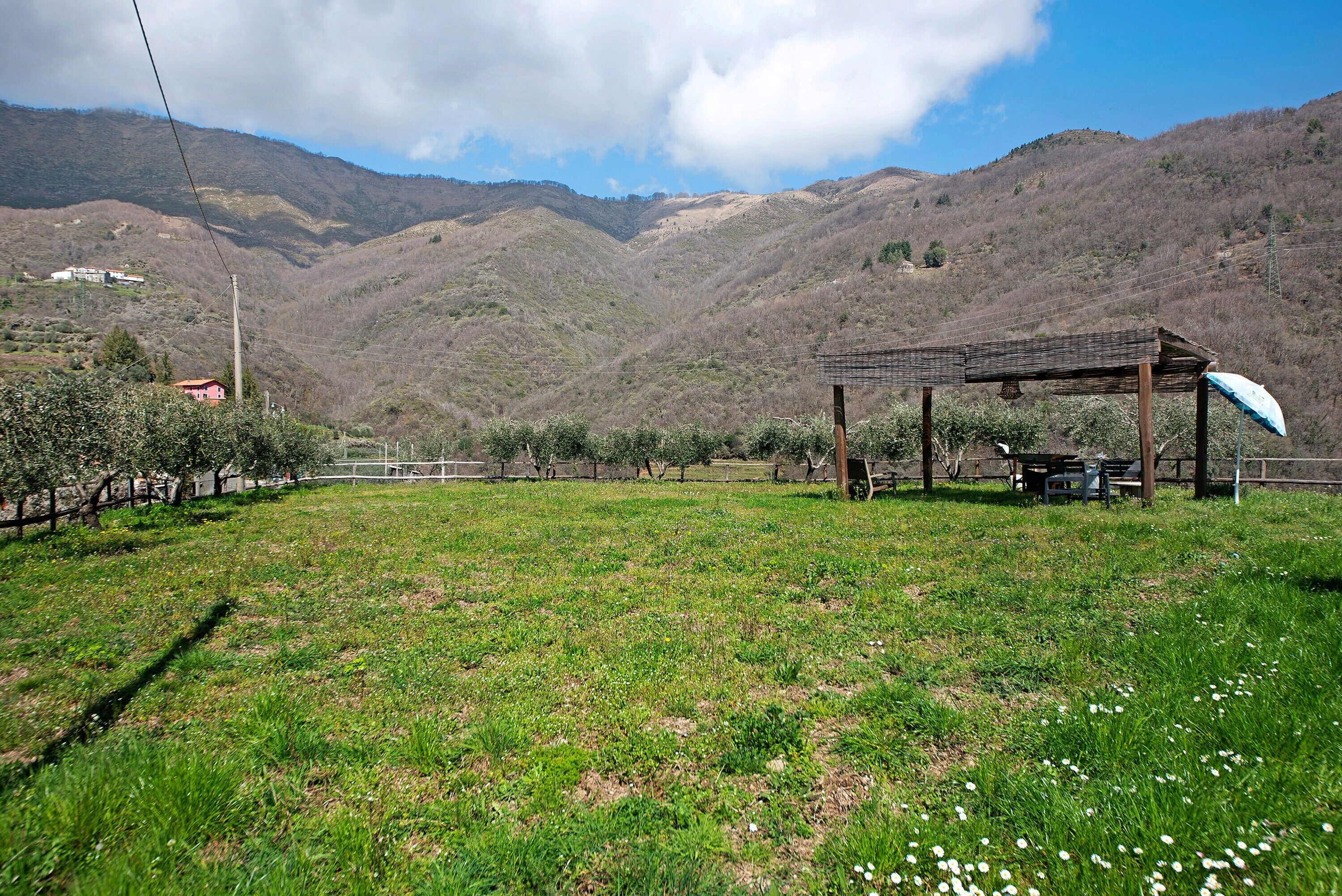 A rural landscape with a grassy field, a wooden structure, and mountains in the background.