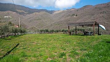 A rural landscape with a grassy field, a wooden structure, and mountains in the background.
