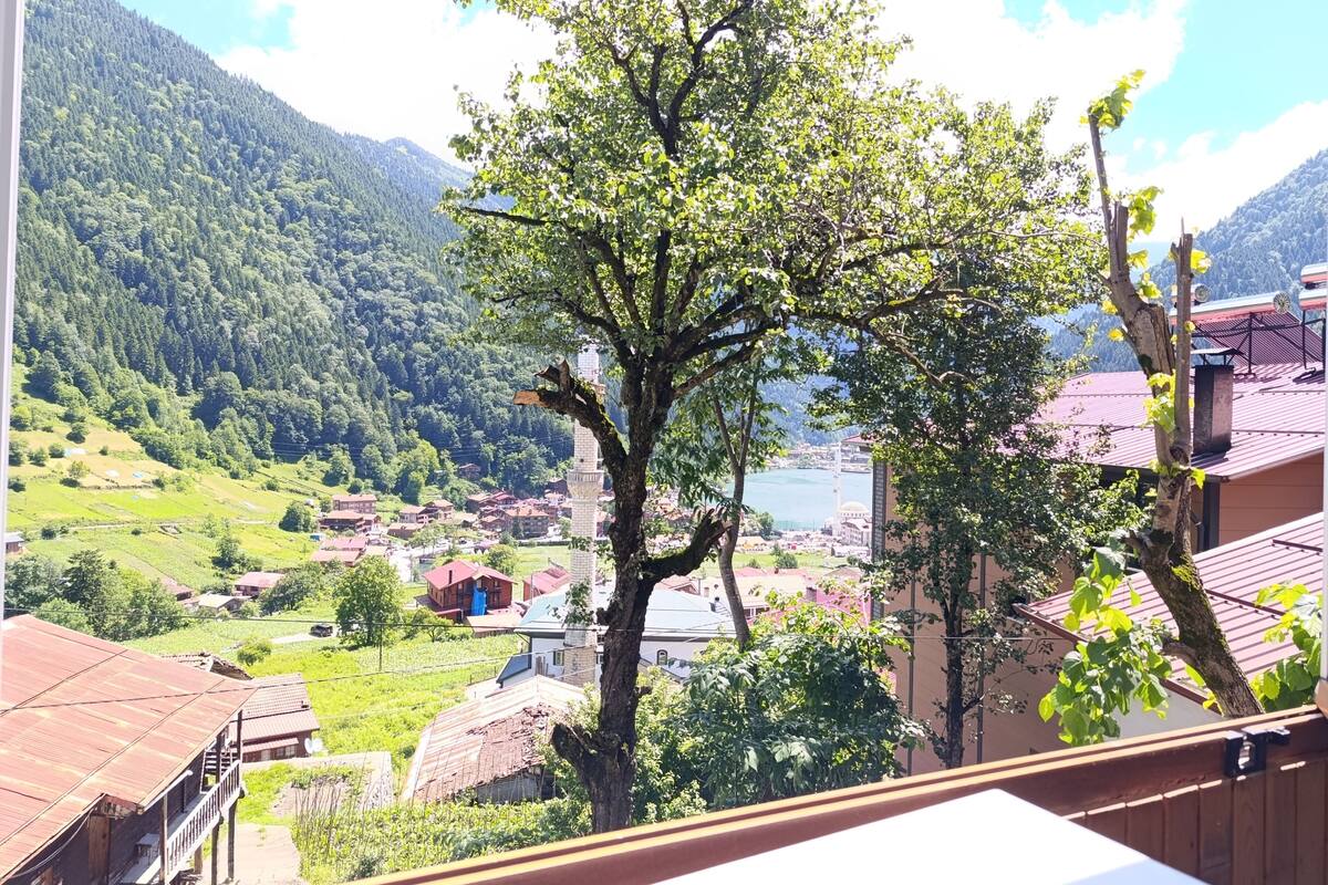 Standard Apartment | Iron/ironing board (on request), WiFi (free)
