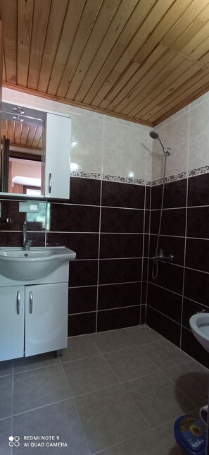 Family Apartment, 2 Bedrooms, 2 Bathrooms, Lake View | Bathroom