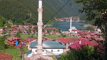 A town with a prominent minaret, surrounded by residential buildings and a lake.