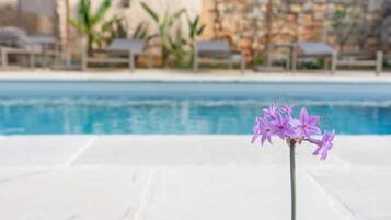 Seasonal outdoor pool, pool umbrellas, pool loungers