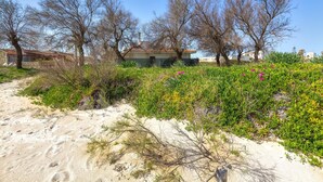 A sandy beach with sparse vegetation and leafless trees. - 2834 Sun&sea by Barbarhouse (Lecce)