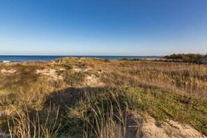 A coastal landscape with dunes and sparse vegetation. - 2438 Villino Sunny by Barbarhouse (Lecce)