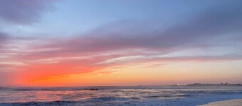 Pine Lodge - luxurious bungalow in nature