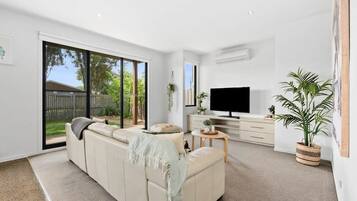 TV, Netflix, books, streaming services