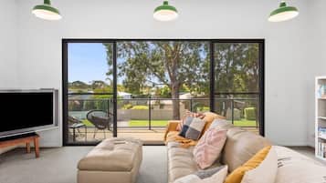 TV, Netflix, books, streaming services