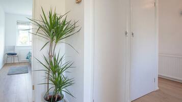 A room with a potted plant, a chair, a radiator, and a door.