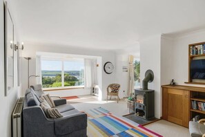 TV, fireplace, DVD player, books